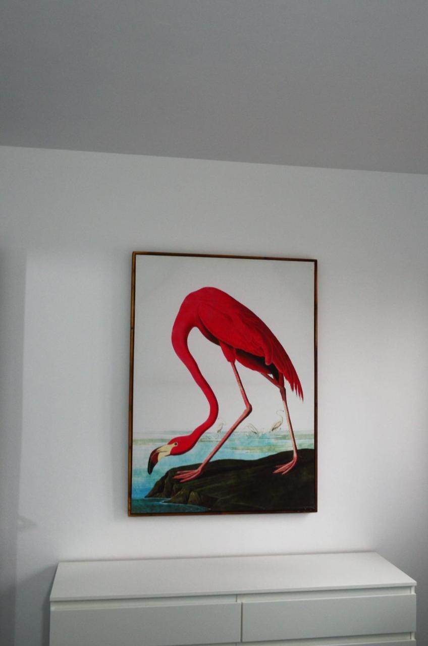 Apartamento Sauco 로스 야노스 데 아리다네 외부 사진